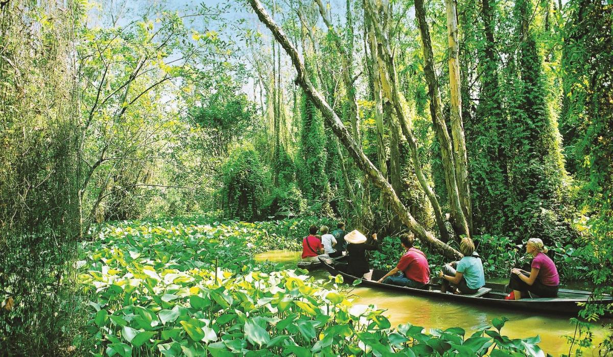 Cho Thuê Xe du lịch đi Cho thuê xe đi Tour Đồng Tháp